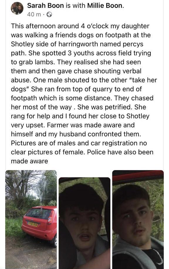 LAMB AND DOG THIEVES ON PERCY'S PATH - did you see anything or do you know these individuals? 
Well done to Millie for being so brave and sensible
