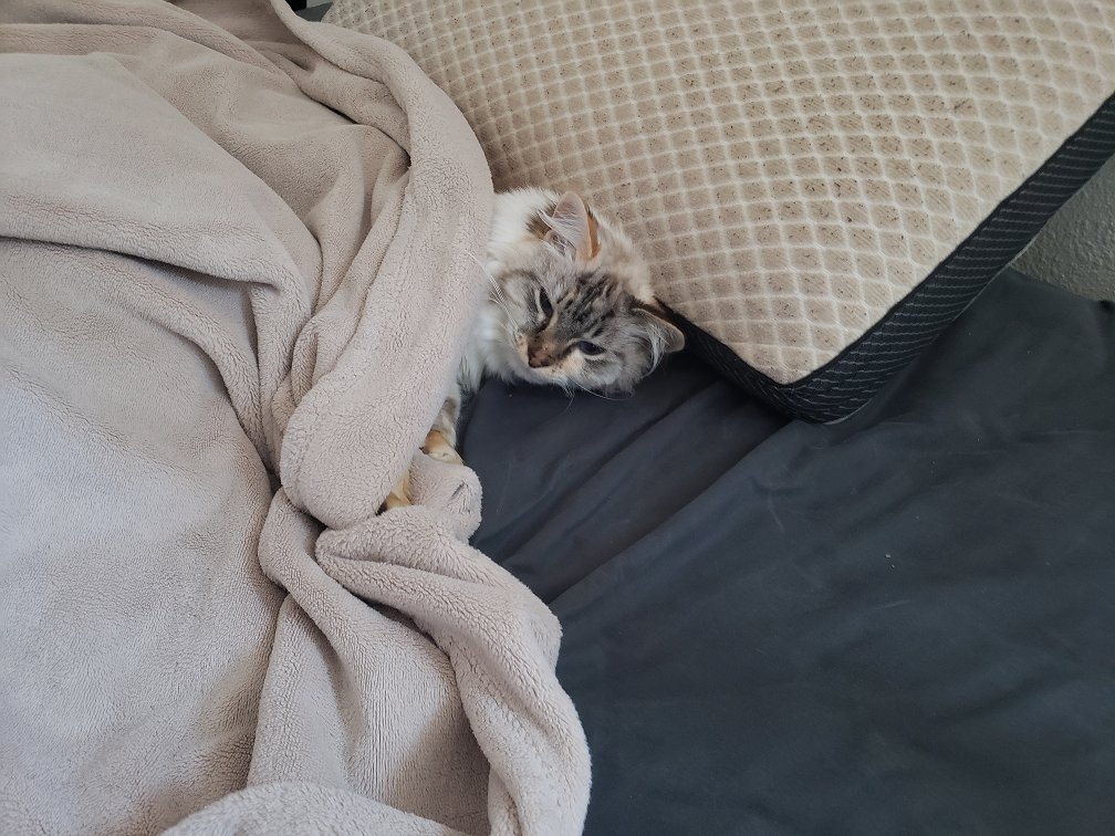 aabicus's tweet image. Monday mornings be like