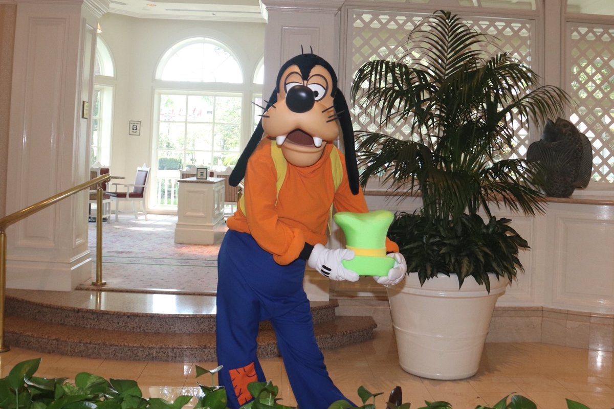 360DegreesofDis's tweet photo. Some Goofy fun at the Grand Floridian!
#WDW #WaltDisneyWorld #Goofy #CharacterCaravan #Mickeyandfriends #DisneysGrandFloridian #GrandFloridian #GrandFloridianResort #GoofyHat #ใฐใผใใฃใผ https://t.co/heE3jn2UaI