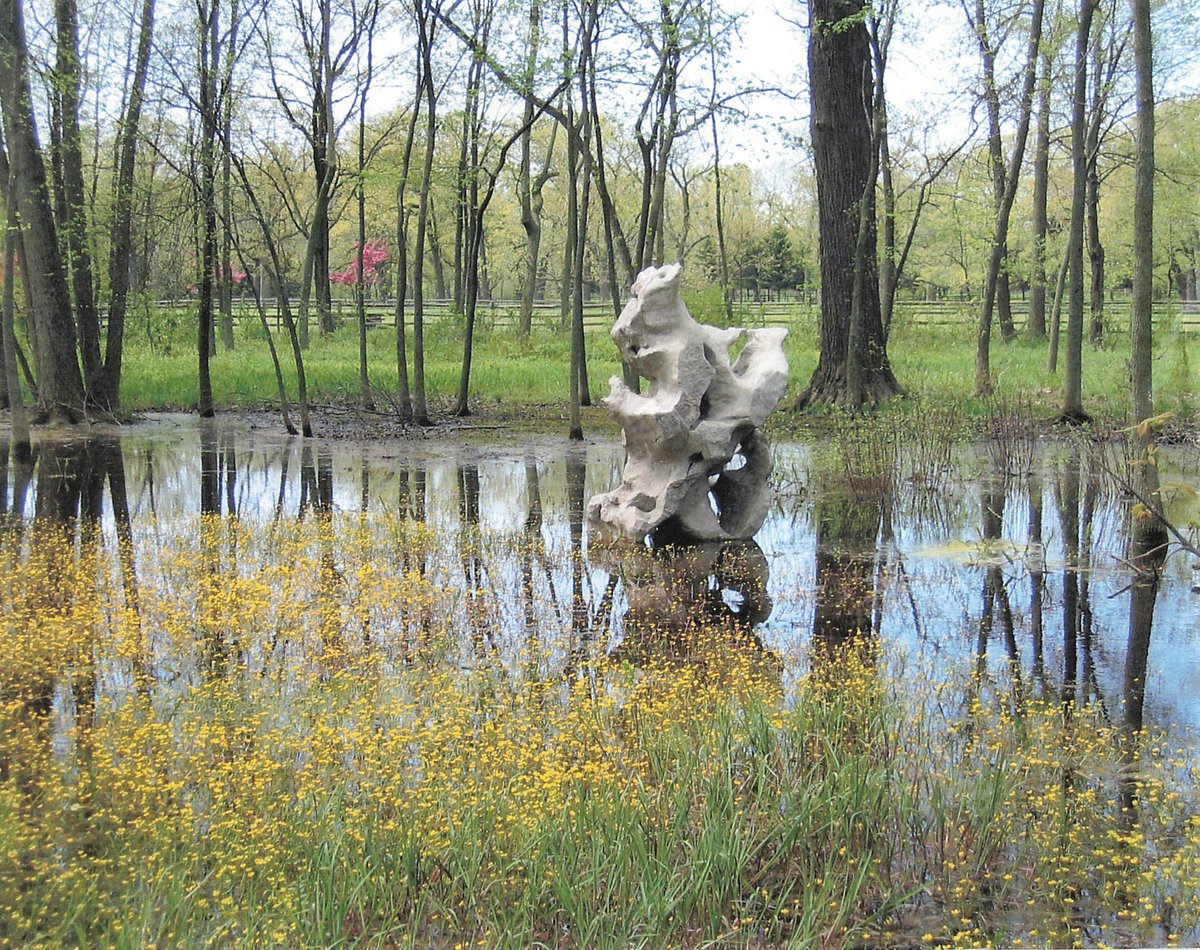 PagodaRed's tweet photo. One of our favorite scholars’ stones installed by a client in his magical garden in Lake Bluff, Illinois. https://t.co/MY2g1o2dbA