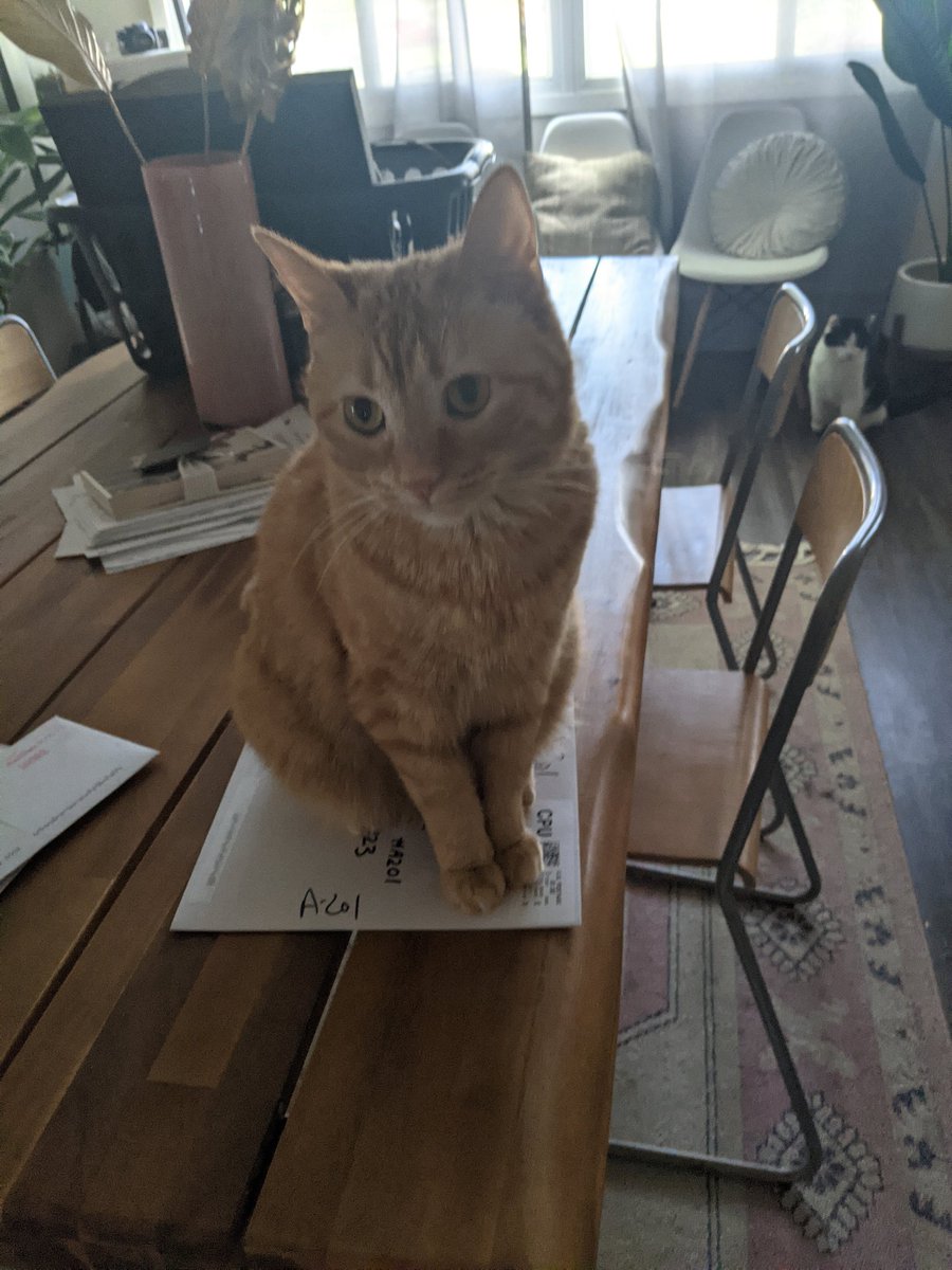 spacecricket612's tweet image. The art of @That_Humann is officially approved by Bean

Please consider supporting an amazing artist at ko-fi.com/skyelzbethart

I just got some of their art and can promise it's worth it!!!