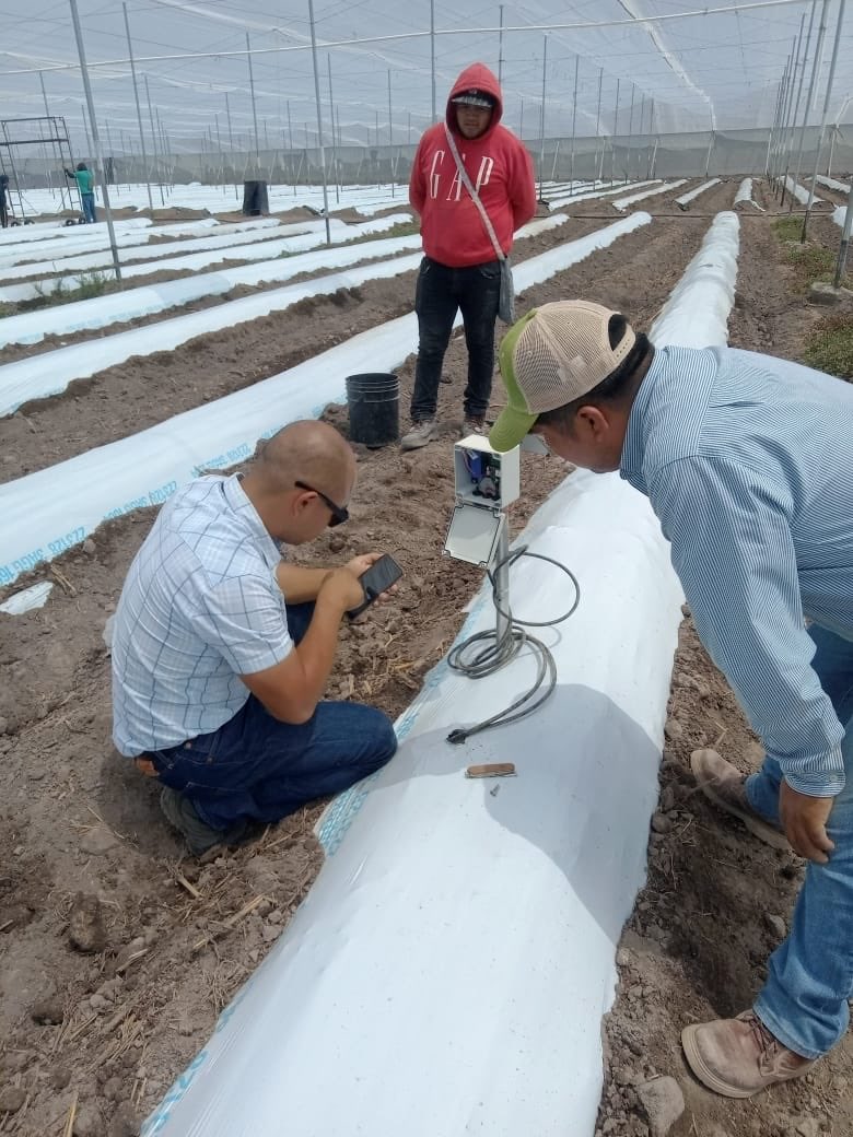 alvarado10ndj's tweet photo. Instalación del #rootsense @NaanDanJain. La raíz artificial que te ayuda a monitorear la humedad en el suelo. @NaanDanJainES @JainsUSA @JainIrrigation @naandanjainbr https://t.co/muu0mj8VOP
