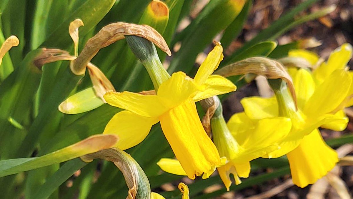 presseticker's tweet image. Rein in die Sichtbarkeit mit SEO für Firmen in Mannheim pr-gateway.de/s/402481

#LocalSEO #Suchmaschinenoptimierung #SEOOptimierung #SEOOptimierer #SEO