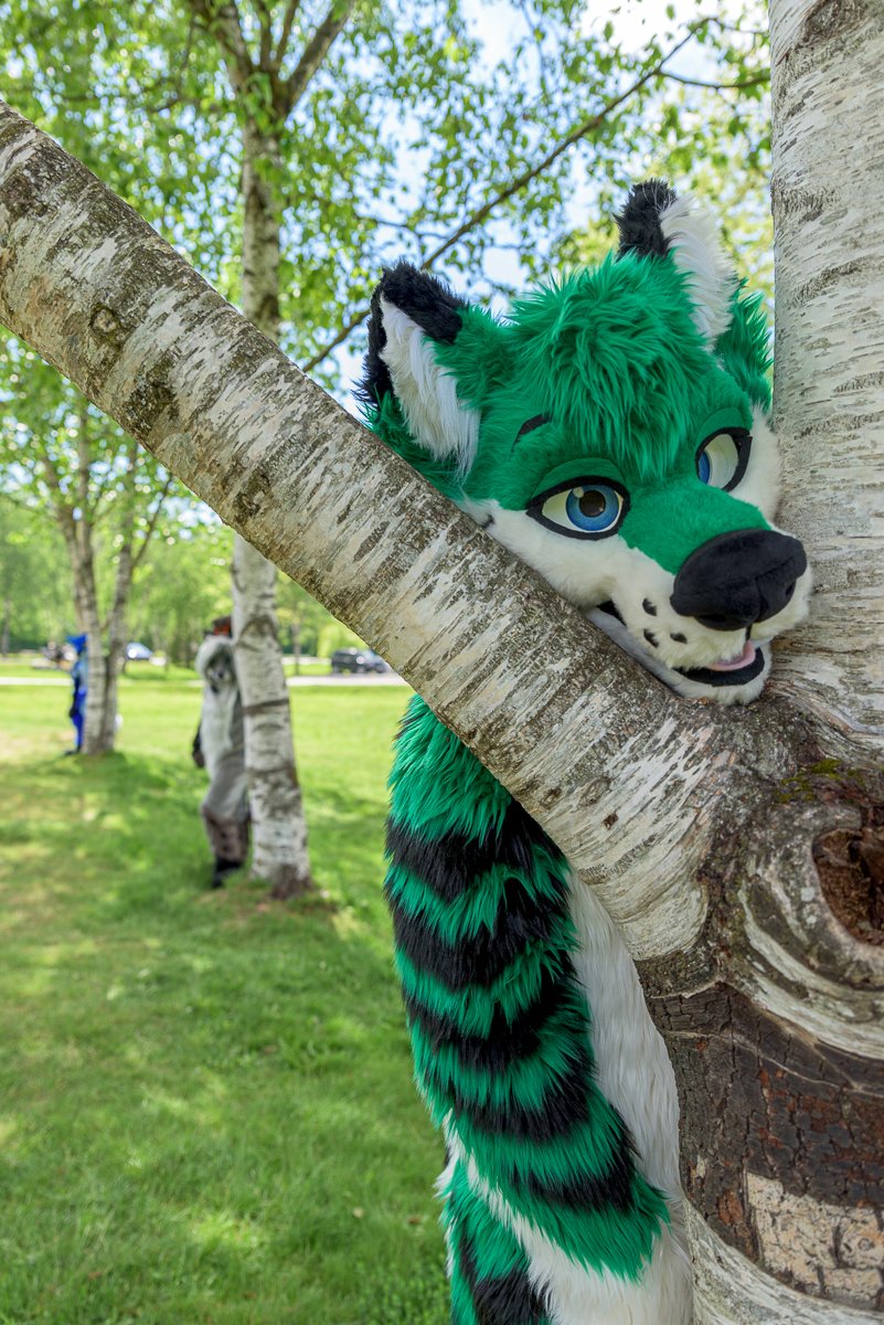 jikerdor's tweet photo. Hi ~ I'm stuck , who are you ? 
Featuring @JesseTheDeer and @CassidyTheCivet 
#furry #fursuit #STUCK 
📸 @JesseBlueFox 
👔  @fursonalities https://t.co/OLIyWHTRAY