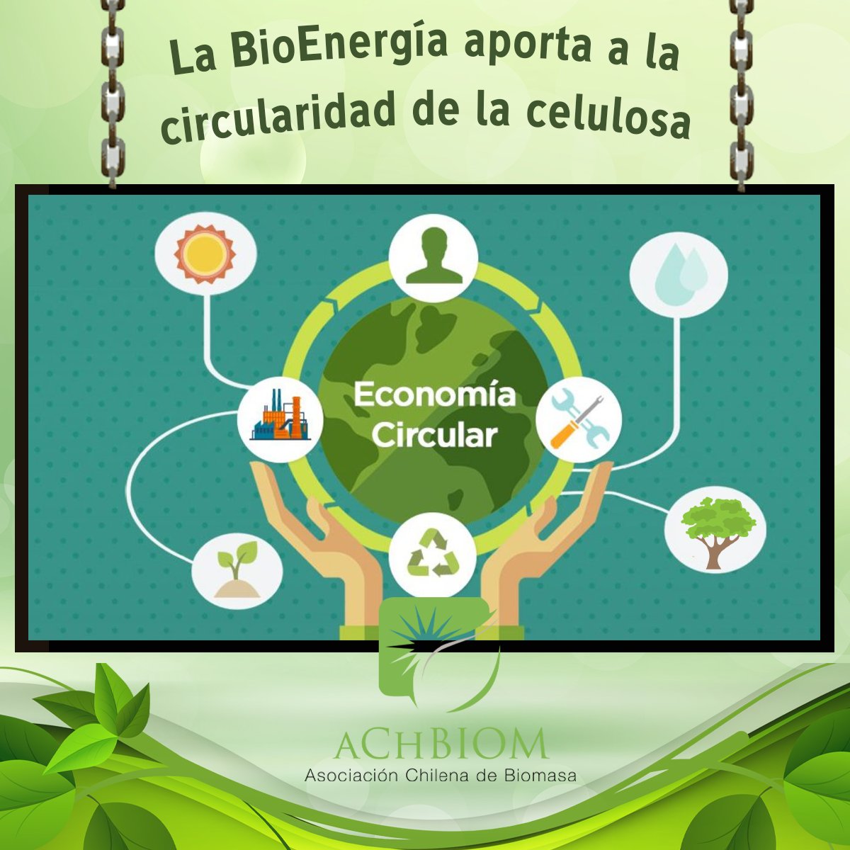 ▶️ ¿#SabíasQueLa BioEnergía es parte fundamental en una de las ind. más importante de recursos renovables a nivel mundial, la #celulosa? 
Cumpliendo así con la valorización energética como parte de una economía circular ♻️ 

+ info bit.ly/2WcwcmJ t.co/#bioenergia