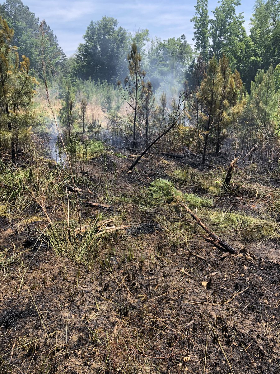 GFDTRAINING's tweet photo. Stations 15,10 with 9 personnel and SC Forestry with a Dozer working a brush fire in a cutover this afternoon. Fire was contained to approximately 1.5 acres. With temps in the mid 90’s and low humidity we will have a increase in fire danger. @gaffney2400 @GaffneyFire https://t.co/b0isS6BZM7