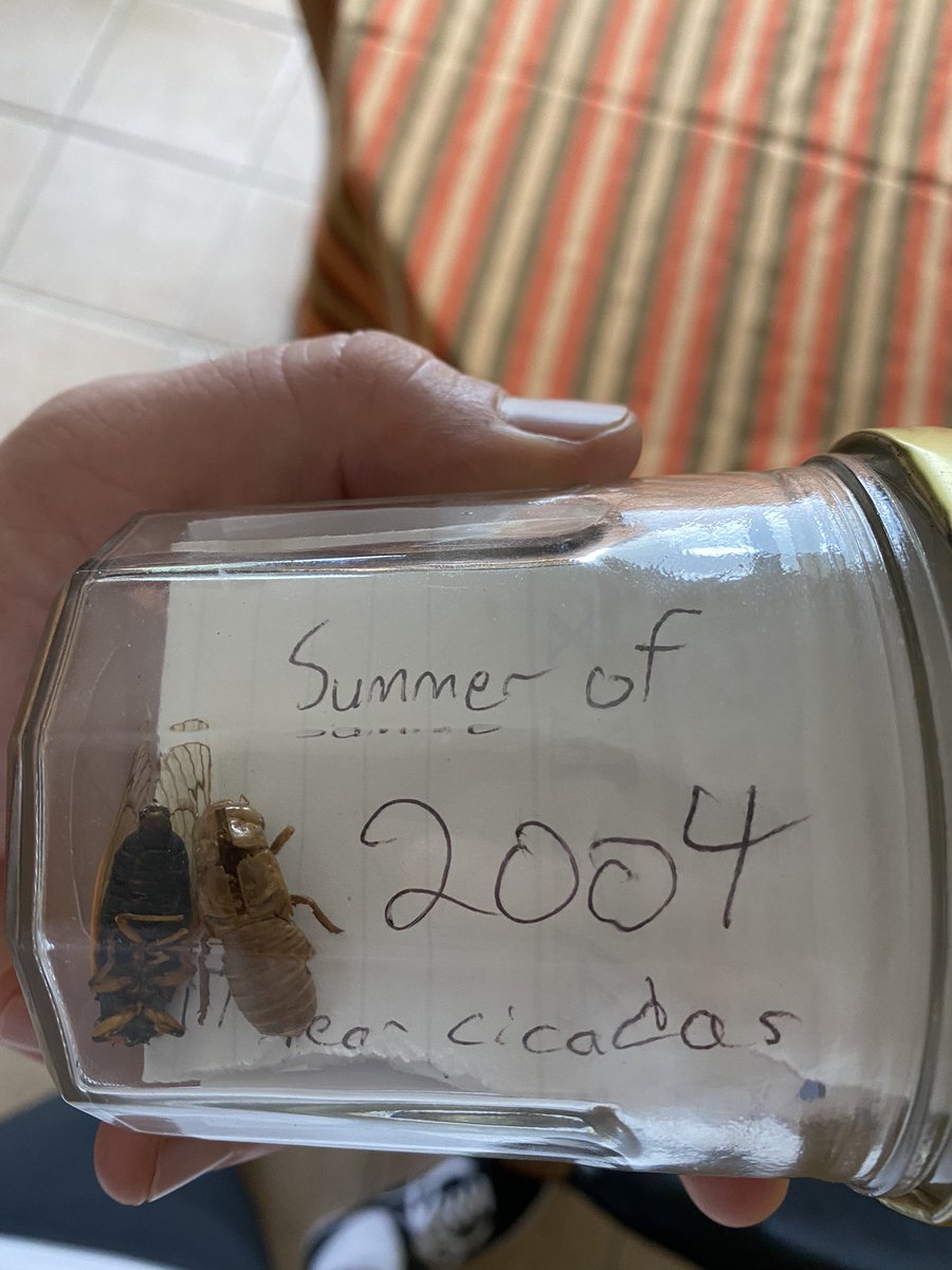 _benkurtz's tweet photo. . @WTHRcom still waiting for the cicadas to emerge in Carmel. I did find this from 17 years ago! https://t.co/rbl5WygTVD