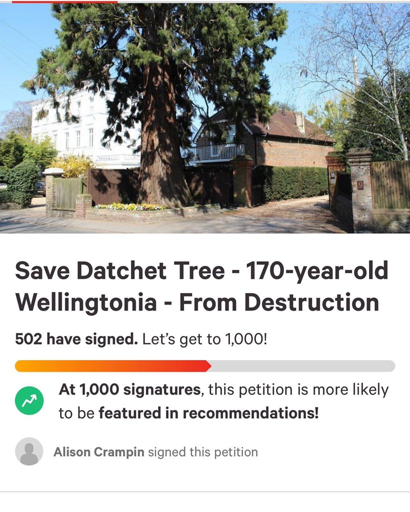 datcheteye tweet media