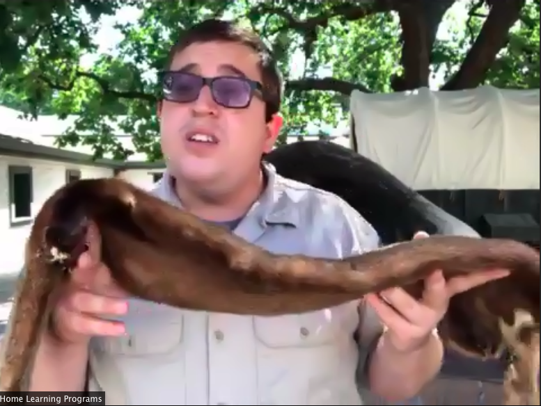 Lani Akimi Davies tweet media