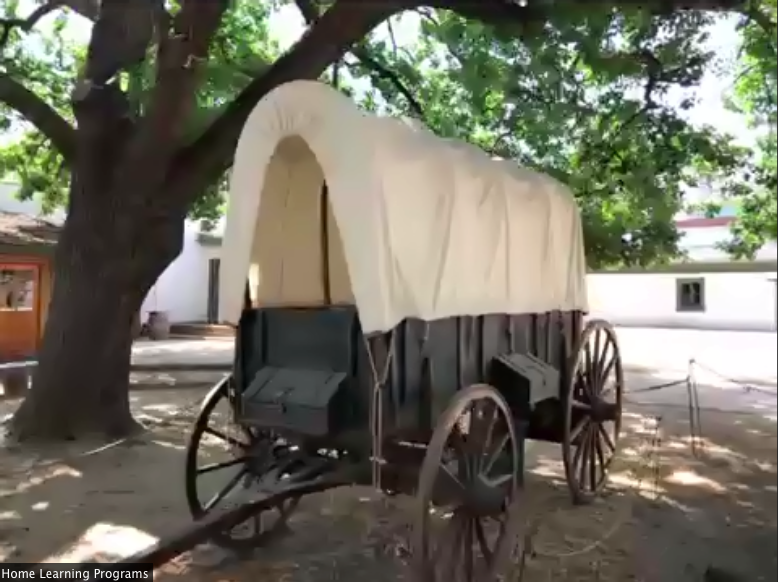 Lani Akimi Davies tweet media