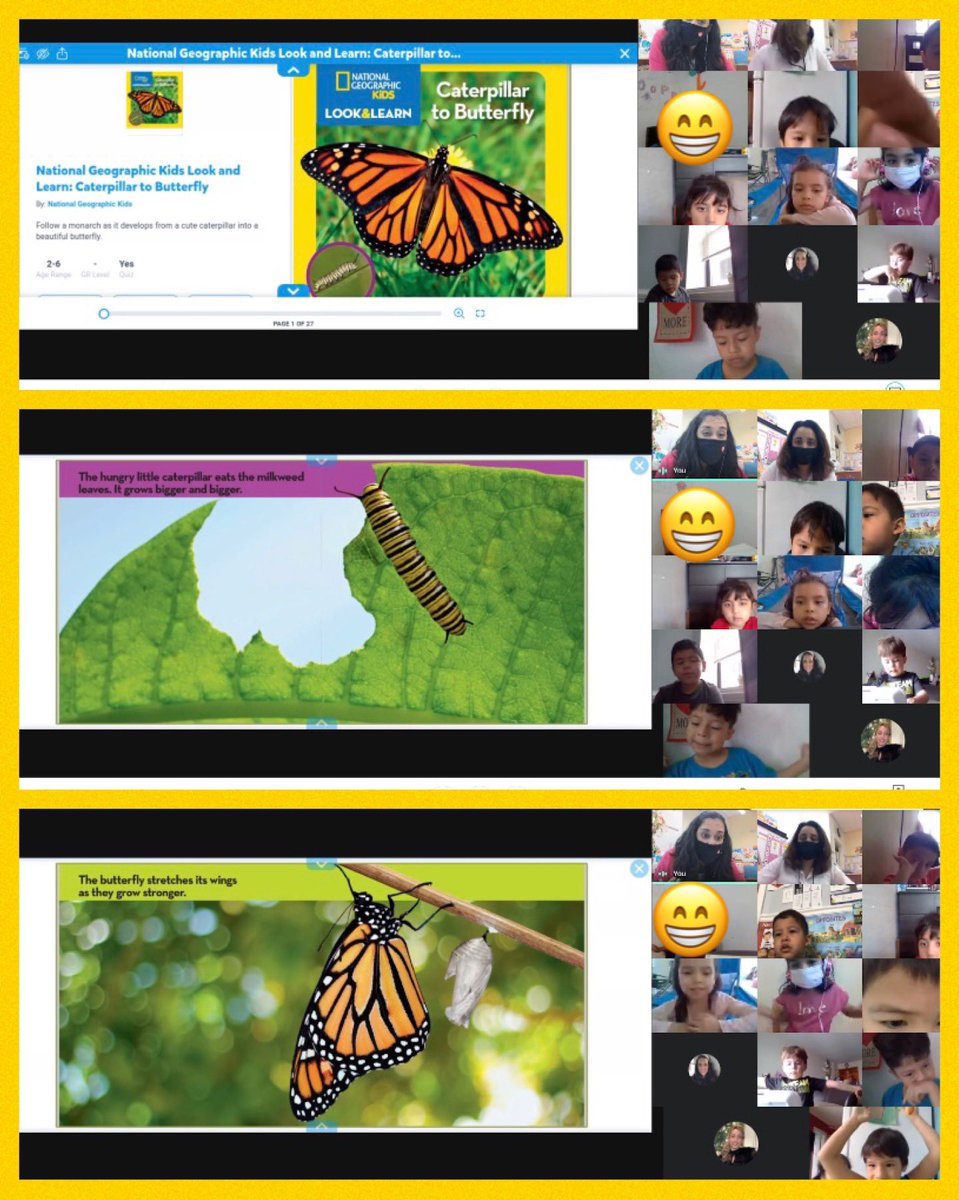 JanetColoma's tweet photo. Day 1 of our Caterpillar 🐛  Observations were a hit!  Nothing like their amazed faces! 😍 #prekrocks #creepycrawlers #scienceobservations @Ariadna71231722 @wnyecc https://t.co/IsnK6tUYVJ
