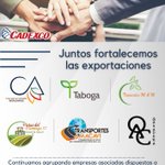 Photo by Cámara de Exportadores de Costa Rica (CADEXCO) (@CADEXCO)