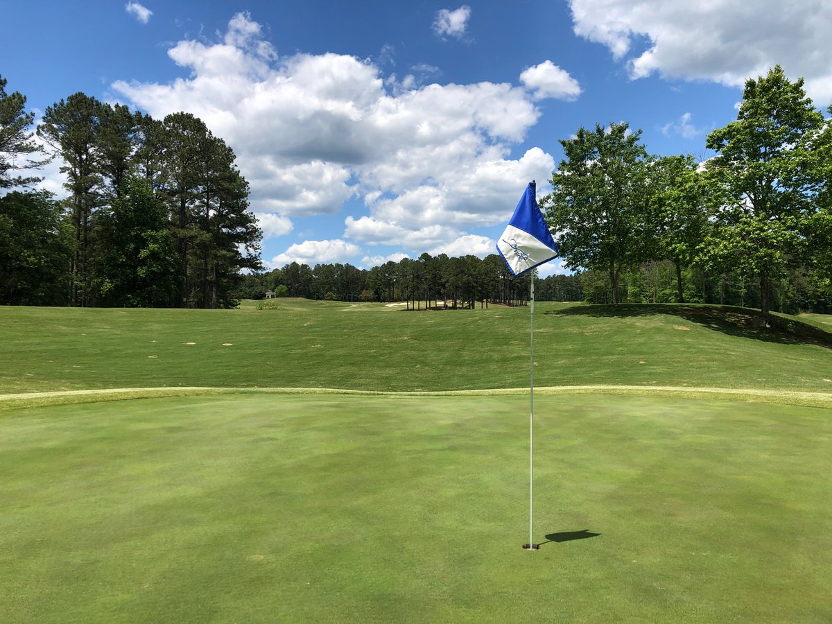 The Frog Golf Club tweet media