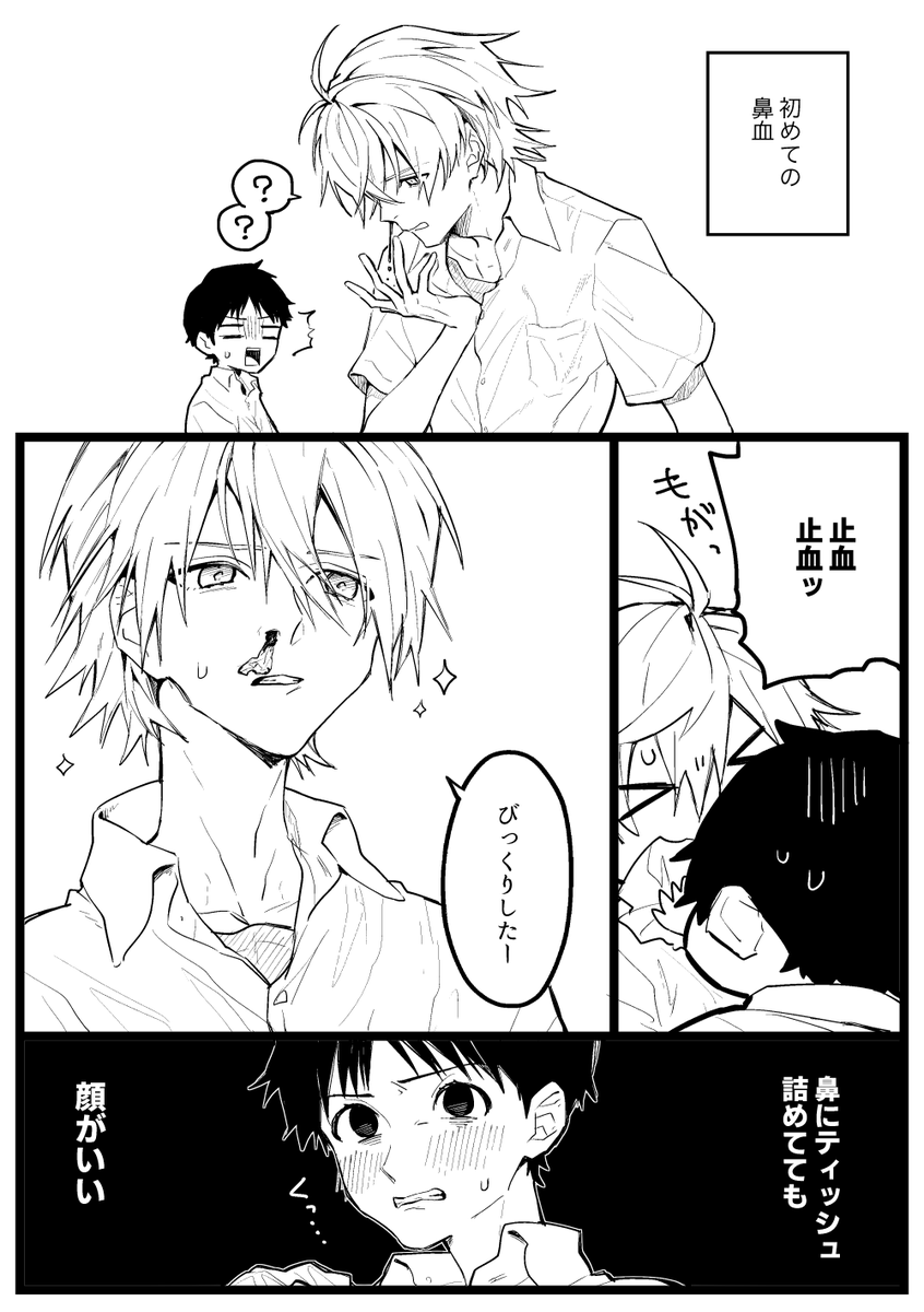 鼻血と貞カヲシン 