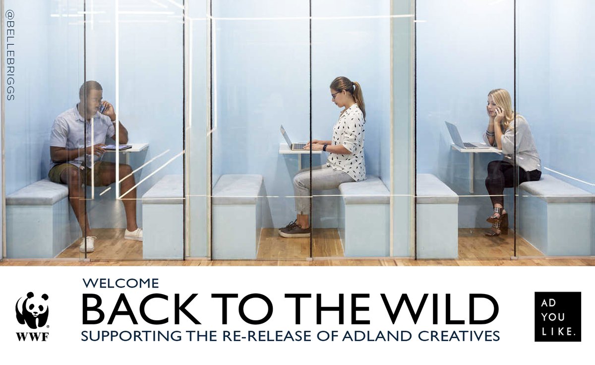 bellebriggs's tweet photo. To celebrate the media and advertising industry’s return @OneMinuteBriefs @AdYouLike #WelcomeBackAds https://t.co/pmsAEuIvk2