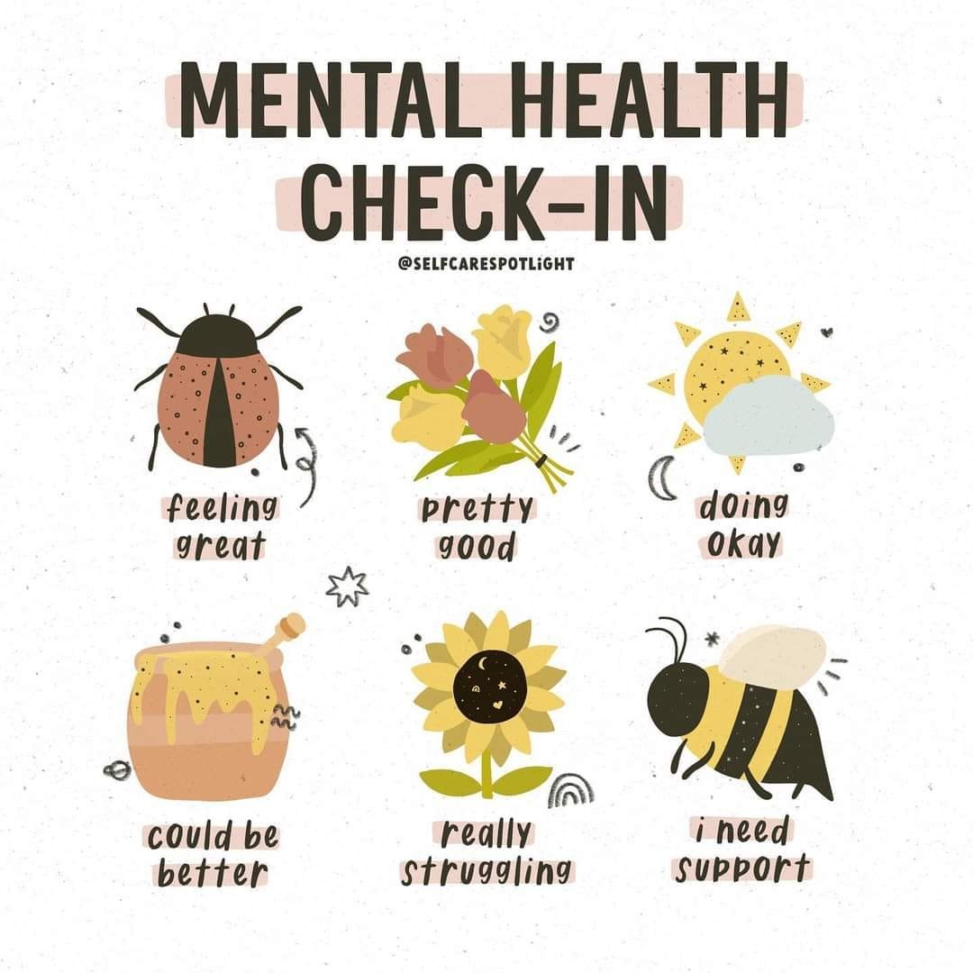 The Bridge Wellness Hub for Youth tweet media