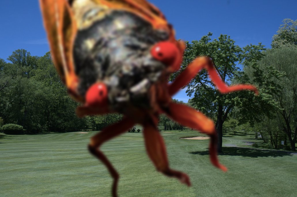 Reston National welcomes golf fans of every variety and skill level!