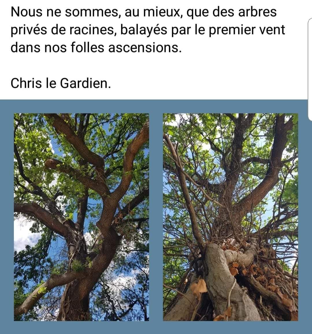 🌟ClG∴ Chris le Gardien (@artroyal2) on Twitter photo 