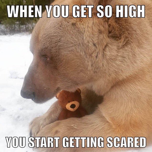 🩸 𝔳𝔞𝔩𝔢𝔯𝔦𝔞 🩸 (@bloodshedxrain) on Twitter photo 