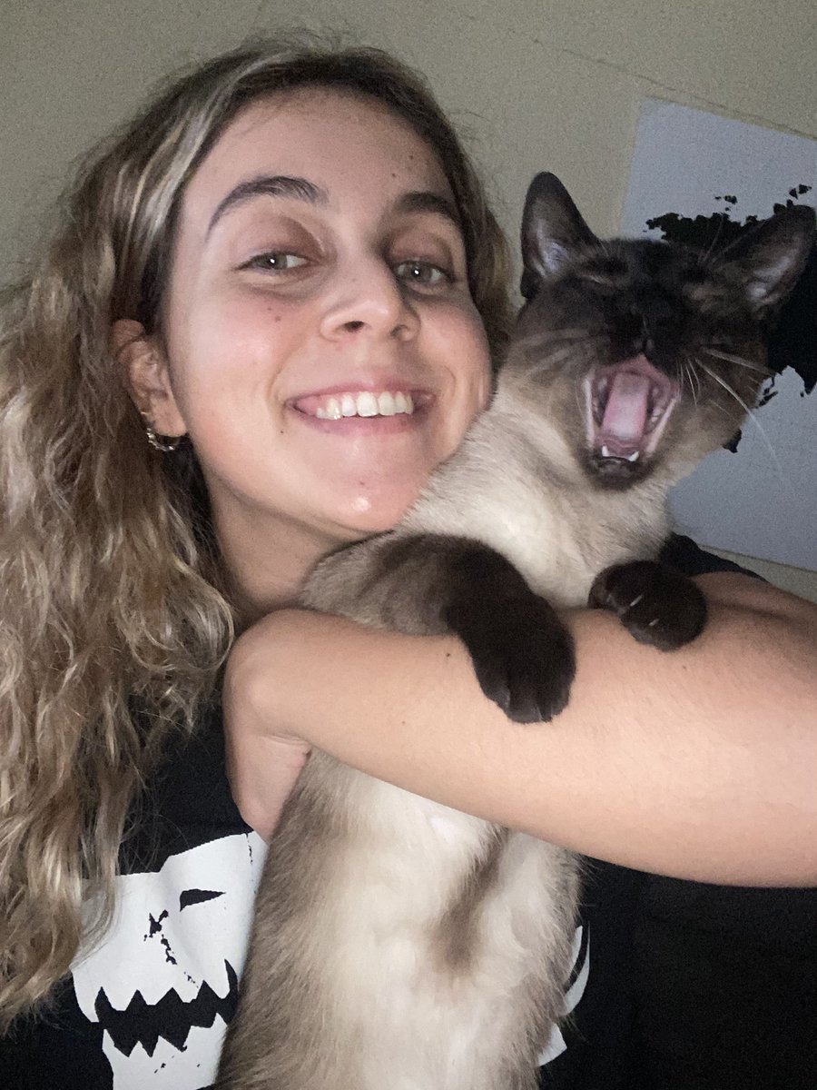 crisjimenezc_'s tweet photo. Podéis apreciar lo expresiva que es mi gata? Y lo mucho que me odia JAJAJA https://t.co/tXZD3OJohT