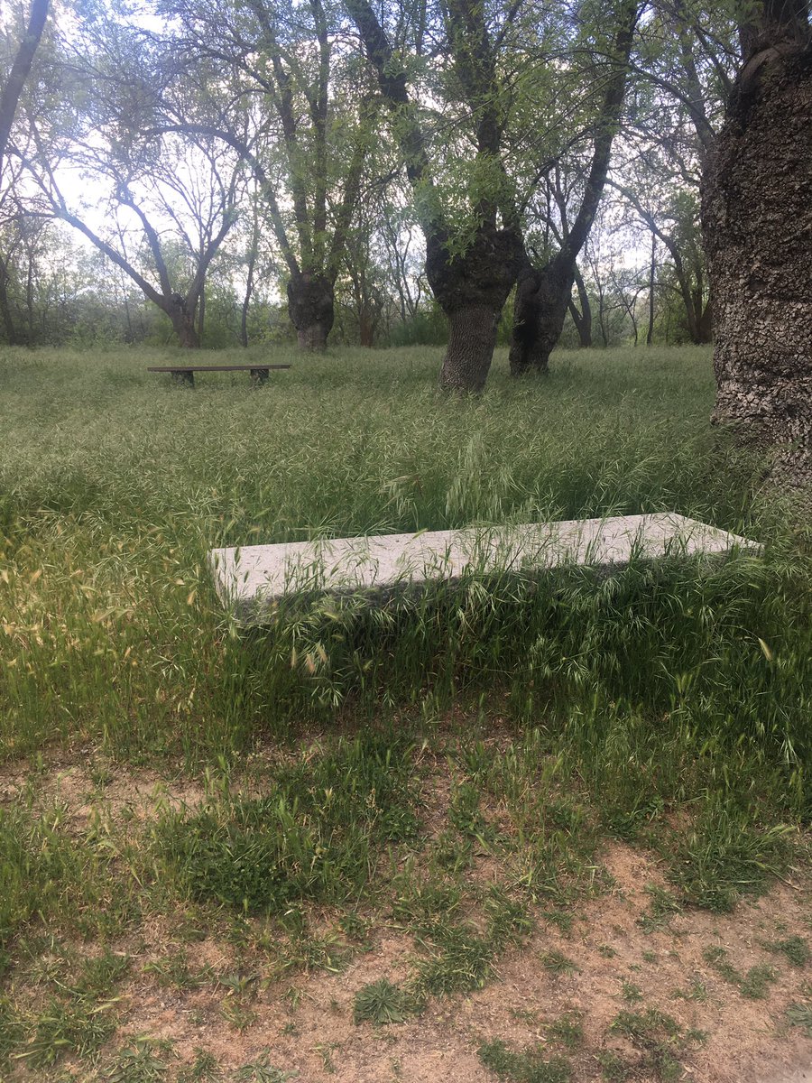 _Jesuslopezg's tweet photo. El parque de “EL SOTO” lugar entrañable para los abulenses
Muchas generaciones hemos disfrutamos todo el año de este parque, aunque en primavera, se muestra espectacular. Que pena que no esté bien cuidado!!!! Necesitaría una buena siega!!!! #Ayuntavila https://t.co/N2NBKK12tl