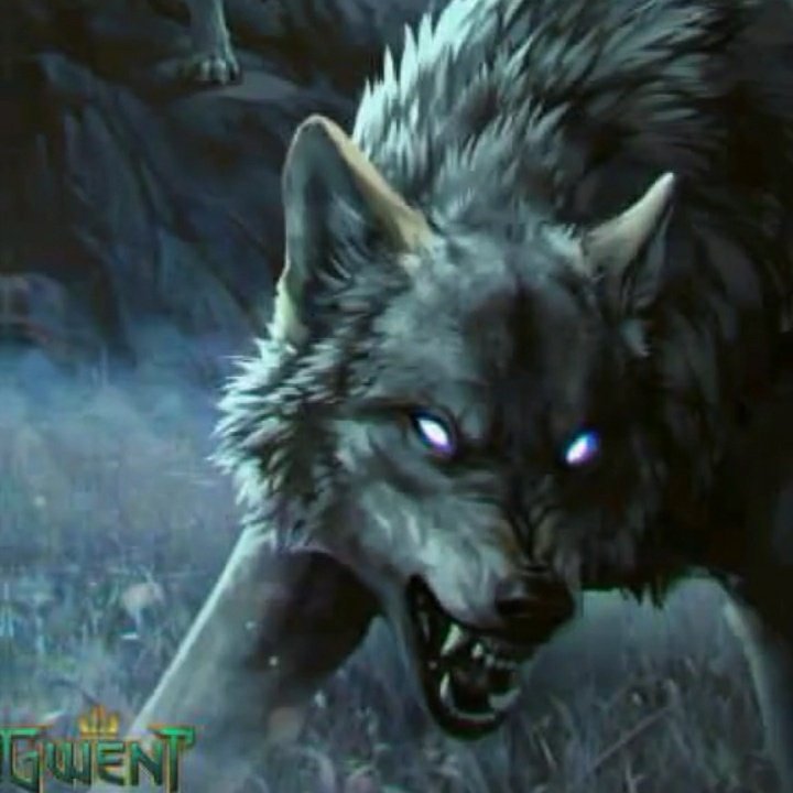 #صورة_ملف_شخصي_جديدة