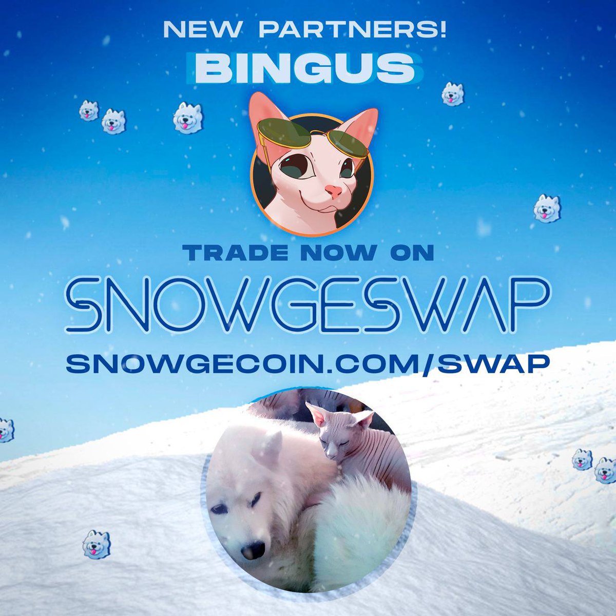 We and the good folks at <a href="/SnowgeCoin/">Snowge McFloofy</a> are happy to announce that you will now be able to buy and trade $BINGUS on their SnowgeSwap platform!

#bsc #DeFi #altcoin 

snowgecoin.com/home/