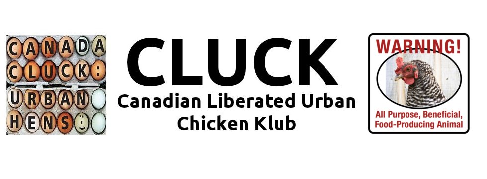 CLUCK Canada tweet media
