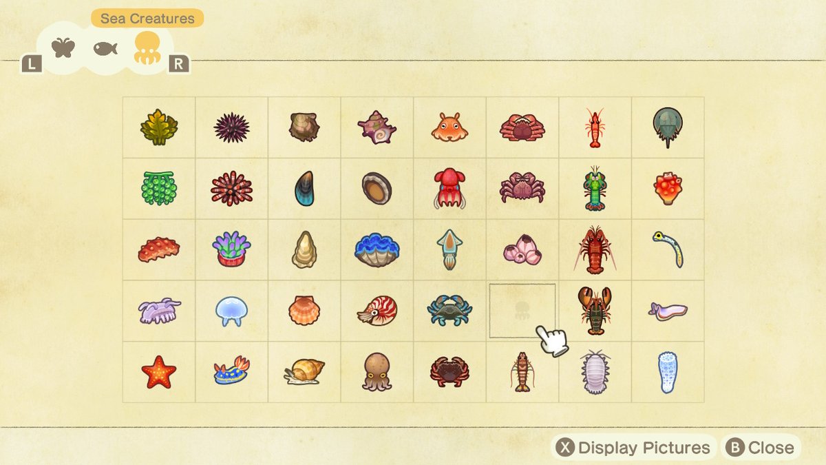 lexdrive11's tweet photo. one more left for fishies and underwater! casual playtime begins! #AnimalCrossing #ACNH #NintendoSwitch https://t.co/rD3au5z7LZ