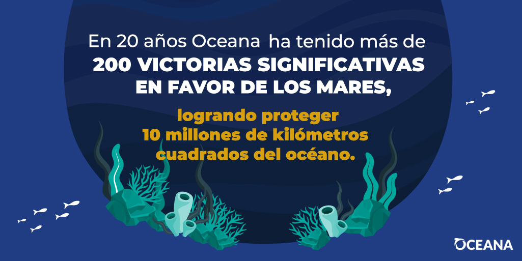 🎉🍾🪅¡Cumplimos 3 años en México! Pero llevamos más de dos décadas trabajando en favor de los océanos. 🤓 Conoce más de nuestro trabajo. 👉 mx.oceana.org