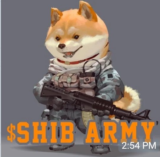 DarkKnight0x764's tweet photo. Who else is #ShibaArmy?  #ShibaCoin #ShibaSwap  **** Retweet https://t.co/eJrwFpDkeD