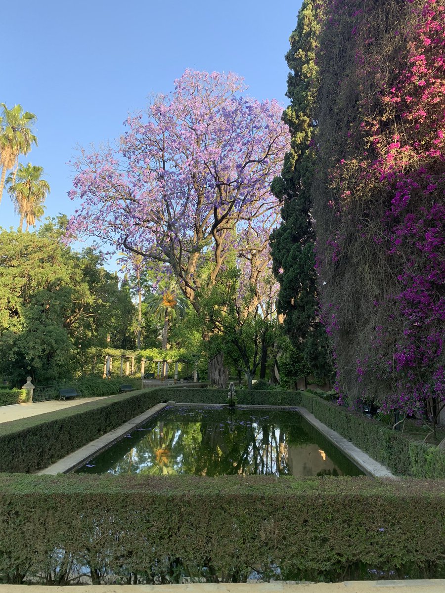 HughElliottUK's tweet photo. Sevilla tiene un color especial... https://t.co/gR9JrOgHAI