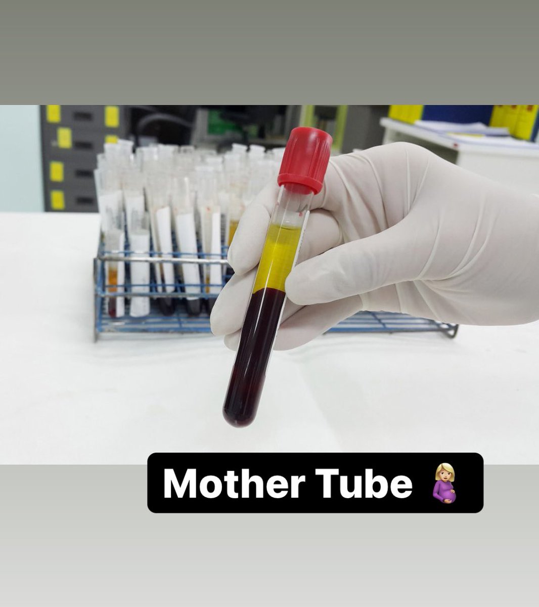 Afrah 👩🏻‍🔬🇰🇼 tweet media