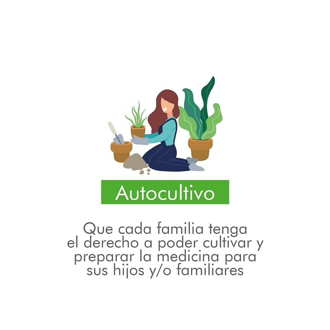 MamaCultivaPy's tweet photo. Nuestros pilares 💚🍃✨ conoce más sobre la organización ingresando a https://t.co/wBvcCy82zI https://t.co/AcdQFoqwUk