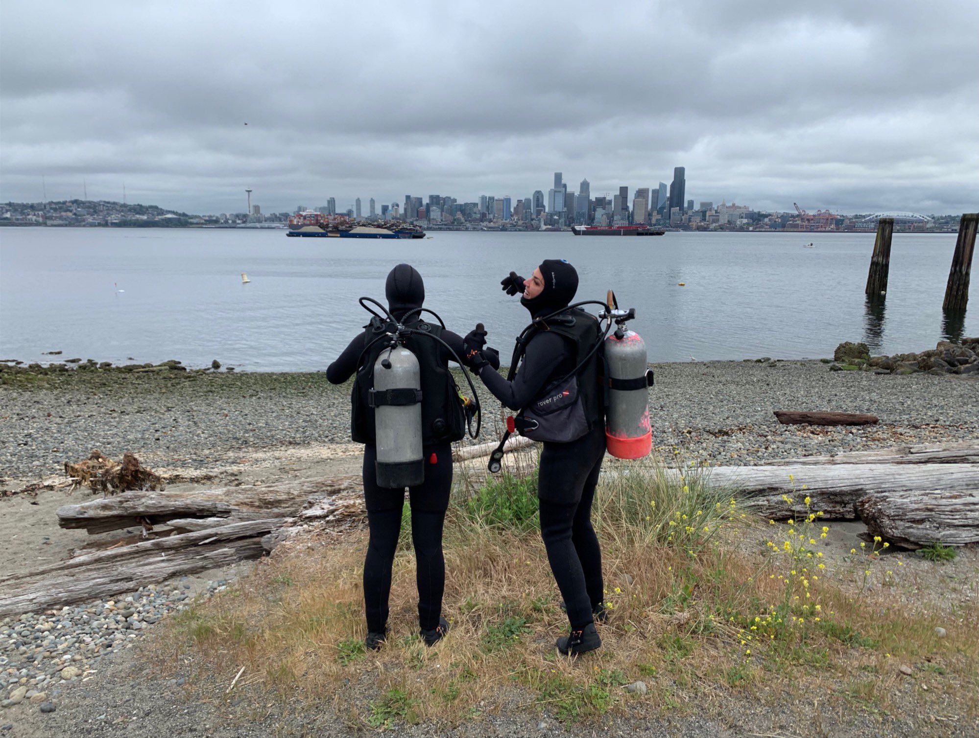 Kendall Thornton on Twitter "Diving in Seattle = 2 wetsuit layers, 2