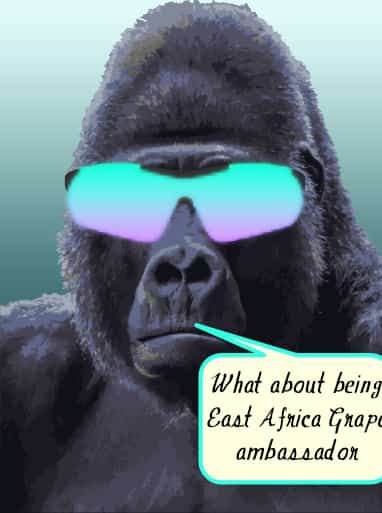 MbinyaPerpetual's tweet photo. And make a donation to Virunga National Park to protect the APES!!
#ITSGRAPE #GRAPEOG
@deanmachine
@Whalesfriend
@solanagrape
DISCORD TAG: Cyro222#2218 https://t.co/UFmxZUd14H