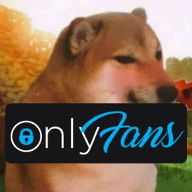 El Chico Pack :v#2 on Twitter: "WINDYGIRK ONLYFANS MAYO 2021🥵 ️ (SON 2