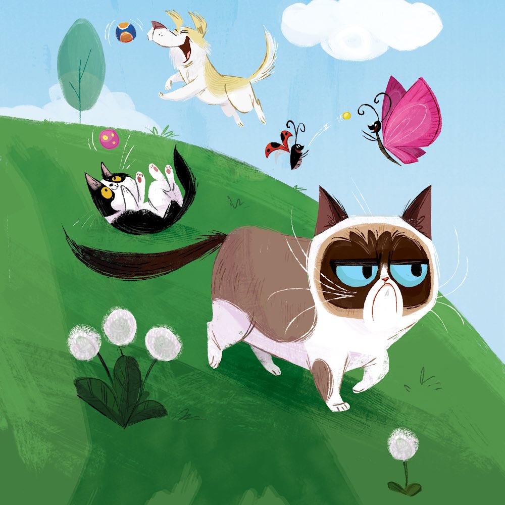 RealGrumpyCat's tweet photo. https://t.co/3vmNICJFog