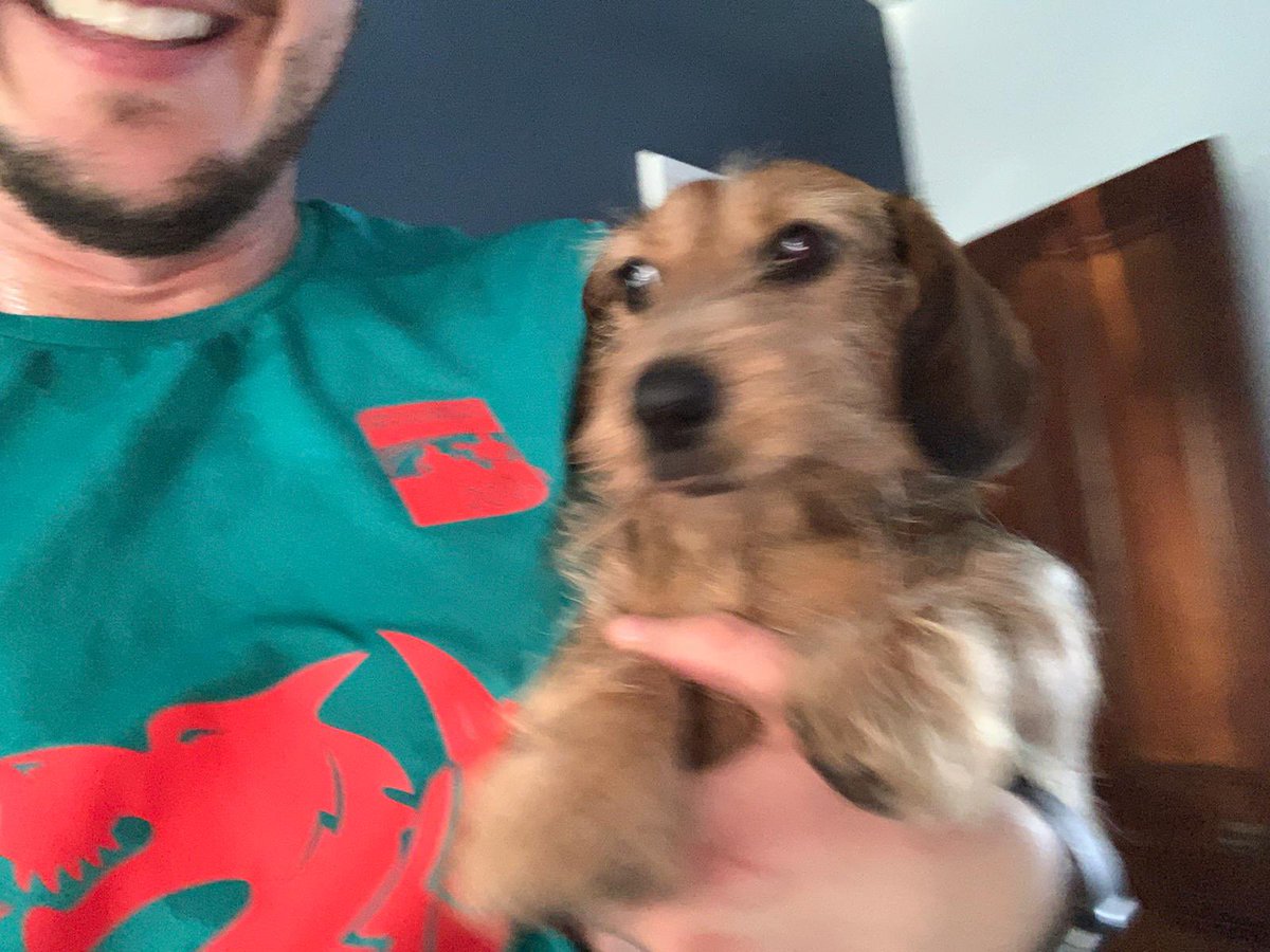 MattRunsWales's tweet photo. 19/30 another big milestone tomorrow. Almost at the final countdown! 🏃‍♂️Tried to take a nice picture with Seymour but had no luck! 🐕😅😂 https://t.co/Q8ZvdwuZfH