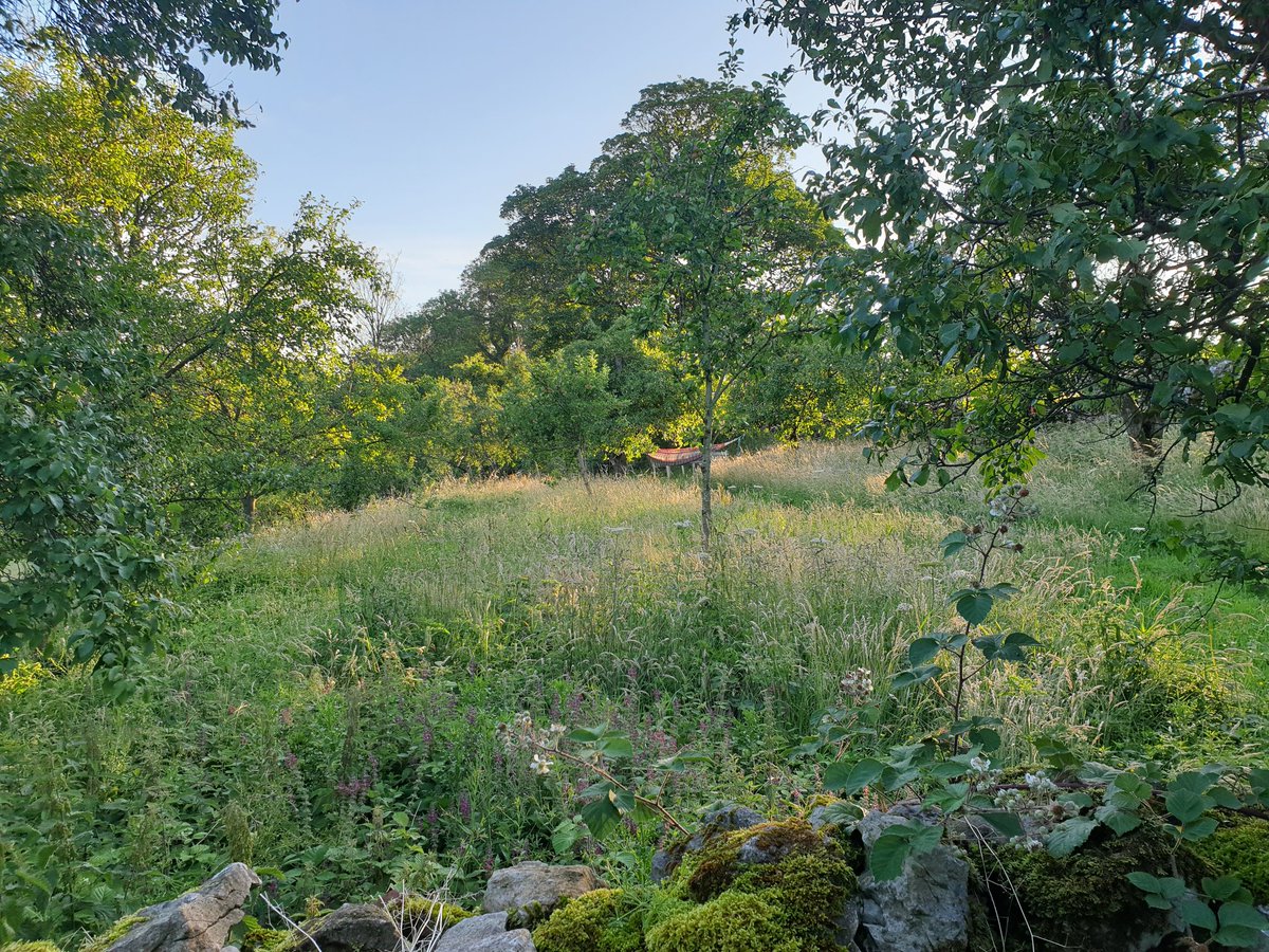 It’s time for a break.

Social media has played an important role in developing The Horned Beef Company. Thank you to everyone that has contributed and supported us.

However, we are keen to remember what life is like without it so we’re taking a break.

Bye for now.