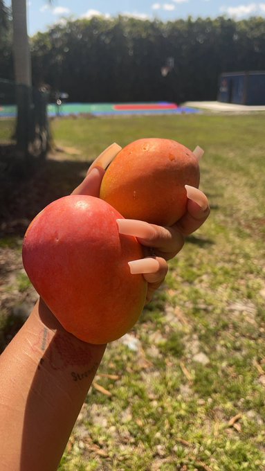 Off my tree 🥭 https://t.co/ocwU3ihpPq