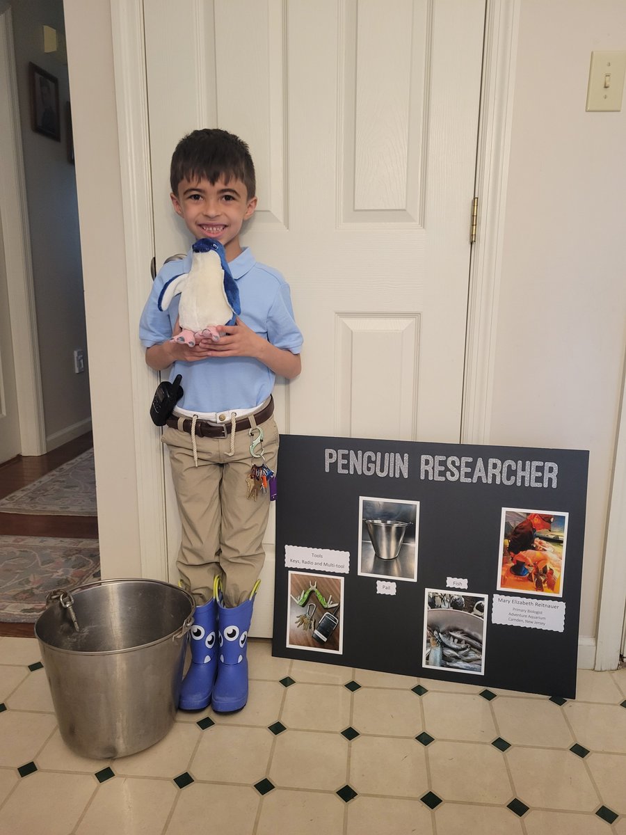 george57_george's tweet photo. @AdventureAqua thanks for assisting in Benjamin's project. Now we have to get him there again to see your blue penguins°° https://t.co/eqk8kdJPvm