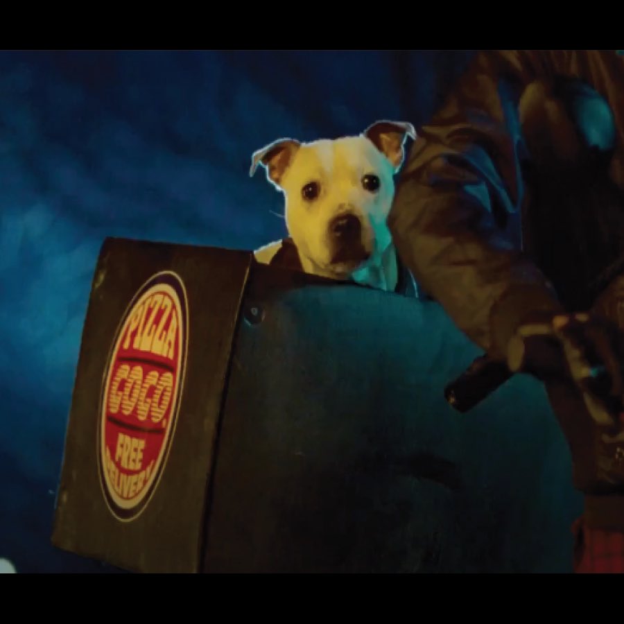 txchainpawmass's tweet photo. We're so excited about the news of @JohnBoyega return for #AttacktheBlock2, so we found you an adorable twin of Pogo from "Attack the Block” (2011). Adopt PATSY but please don't bring her with you if you are fighting (cute)dog like aliens with glowy teeth
https://t.co/pOhY56OEtc https://t.co/Mh3wPvASwH