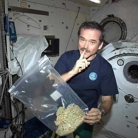 ARTIFAXING (@pedestrian) on Twitter photo 