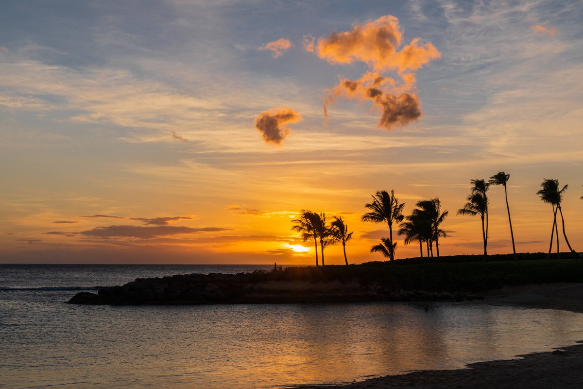 lhuang911's tweet photo. Summer vacation in #Hawaii! 8/6 – 8/11 at the premium Marriott's Ko Olina Beach Club on pristine beaches in Oahu, next to the Disney Aulani, 30 mins from Honolulu. Check out this exceptional 5-star rated VRBO deal - 2BR/2BA, Sleeps 8 at:
https://t.co/kp95Bw9UeR https://t.co/MuhsQLaljR