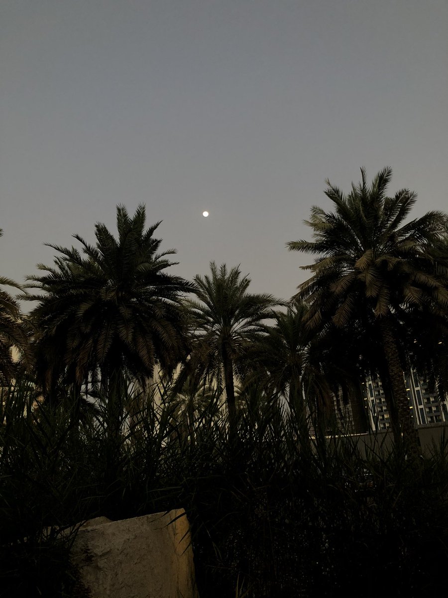 FathimaTL's tweet photo. The moon , mountains & date palms #Oman #lifeinmuscat https://t.co/sm3H08kT6Z