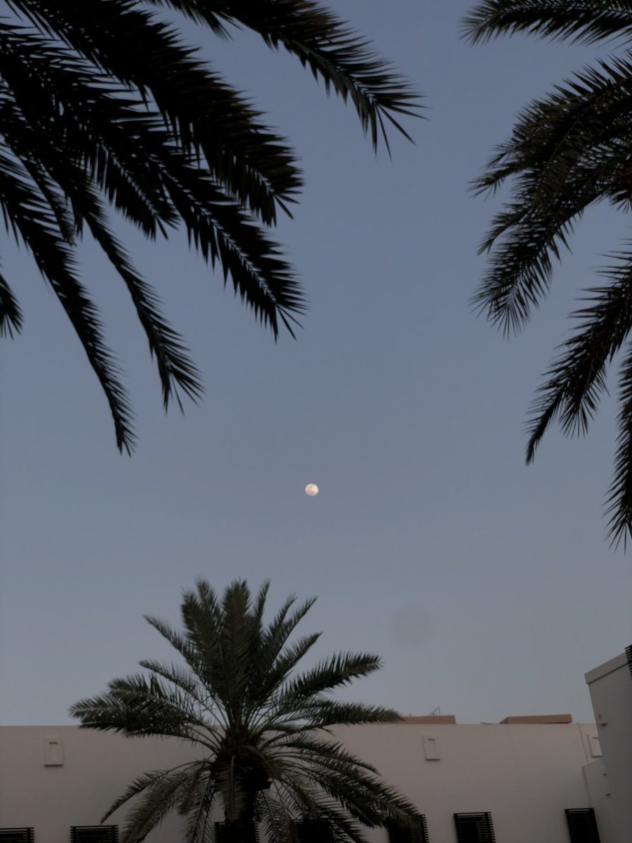 FathimaTL's tweet photo. The moon , mountains & date palms #Oman #lifeinmuscat https://t.co/sm3H08kT6Z