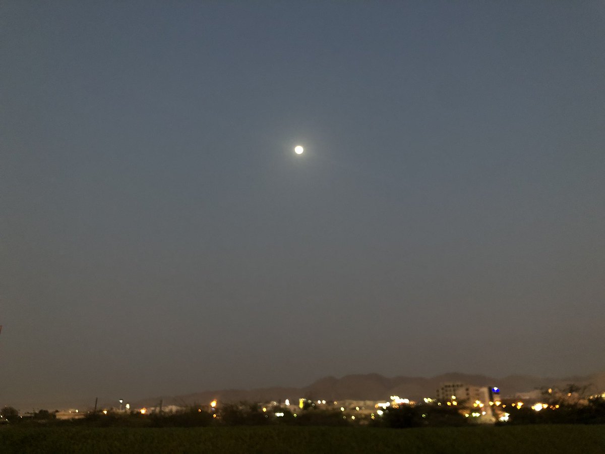 FathimaTL's tweet photo. The moon , mountains & date palms #Oman #lifeinmuscat https://t.co/sm3H08kT6Z