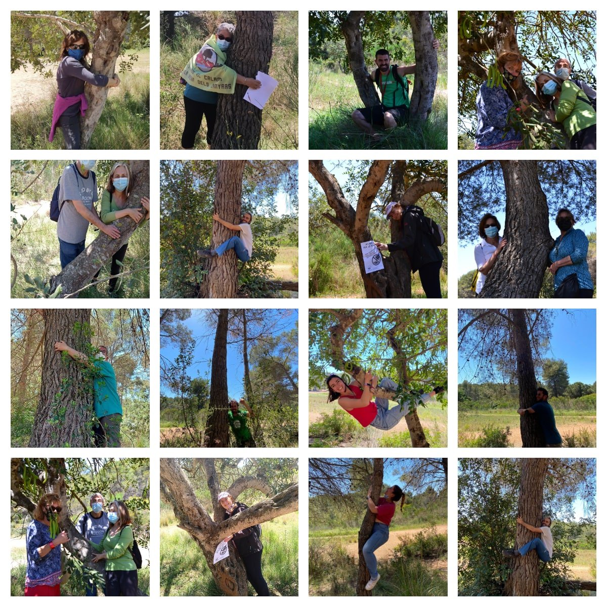 SalvemElCalamot's tweet photo. Estimem la natura!
Abracem els arbres del Pla de Ponent
#AturemElPladePonent 

Envia'ns la teva foto abraçant un arbre! https://t.co/0u98br3nHD