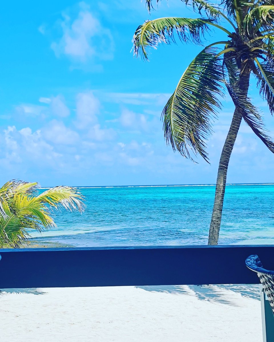 Beach Perfect BZ tweet media